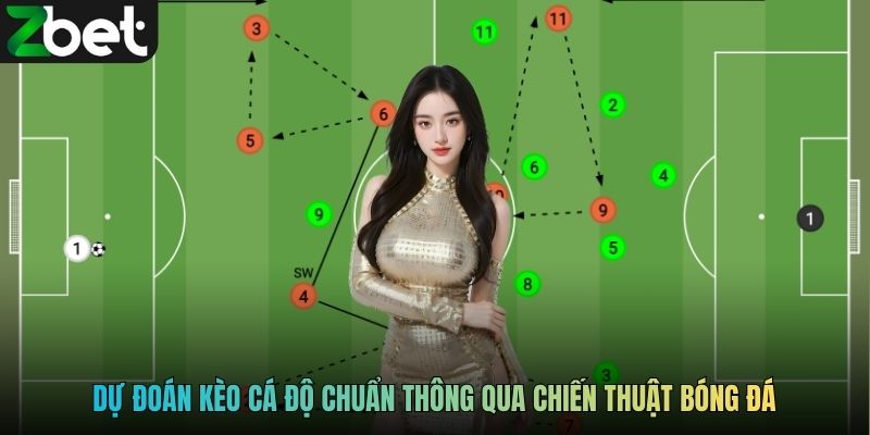 Dự đoán kèo cá độ chuẩn thông qua chiến thuật bóng đá