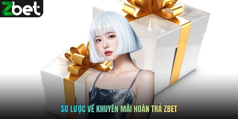 Sơ lược về khuyến mãi hoàn trả ZBET